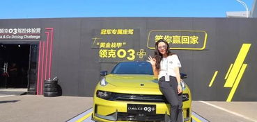 國產汽車品牌的集大成者，為何領克銷量一般？